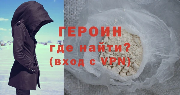 индика Гусев