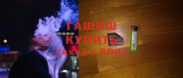 индика Гусев