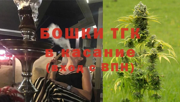 стафф Горняк