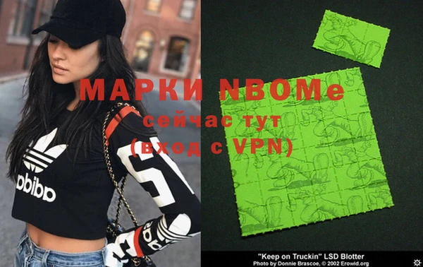индика Гусев