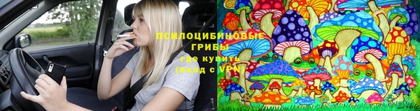 гашиш Горнозаводск