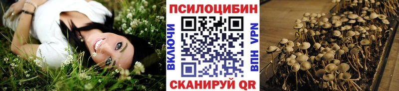 Галлюциногенные грибы Psilocybine cubensis  Купить где  Новая Ляля 